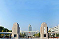 山东大学